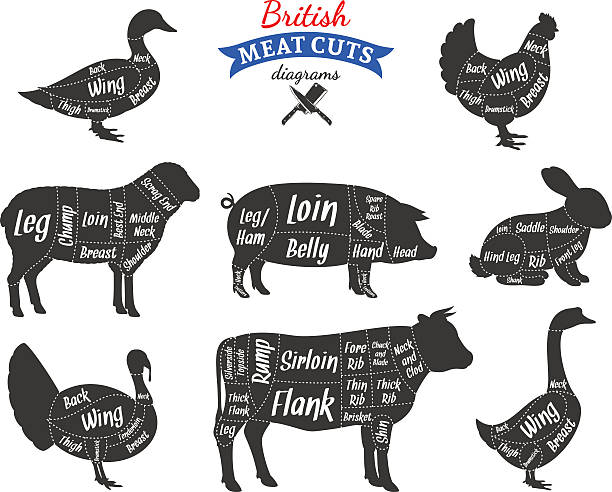 illustrations, cliparts, dessins animés et icônes de british morceaux de viande de première qualité certifiés par meetingmatrix - goose meat