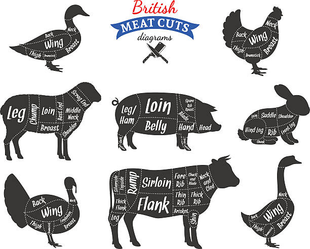 British Meat Cuts Diagrams British cuts of beef, pork, lamb, rabbit, chicken, duck, goose and turkey diagrams meat silhouettes stock illustrations