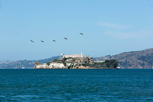 Alcatraz Island