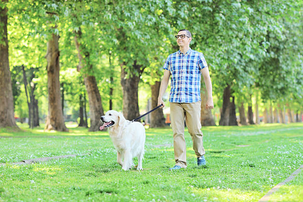 istock Young man walking his dog in a park 495056427