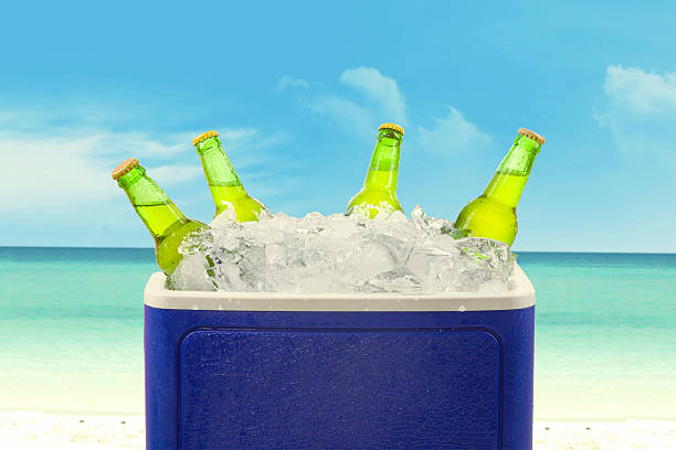 botellas de cerveza en el hielo - cooler fotografías e imágenes de stock