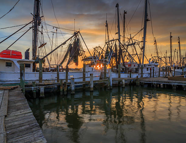istock Shrimp boats at dusk 495064264
