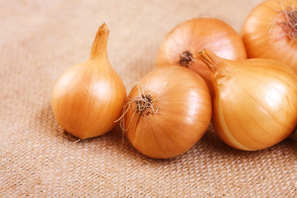 istock Group of onions on the table 495064442