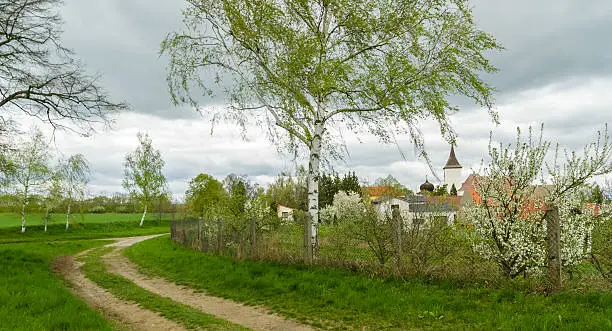 Photo of Spring in the Czech Countryside