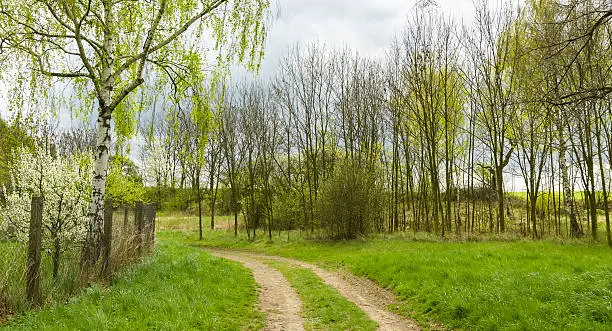 Photo of Spring in the Czech Countryside