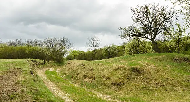 Photo of Spring in the Czech Countryside