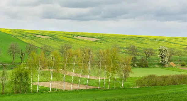 Photo of Spring in the Czech Countryside