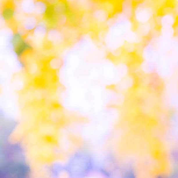 istock Colorful blur garden background 495064802