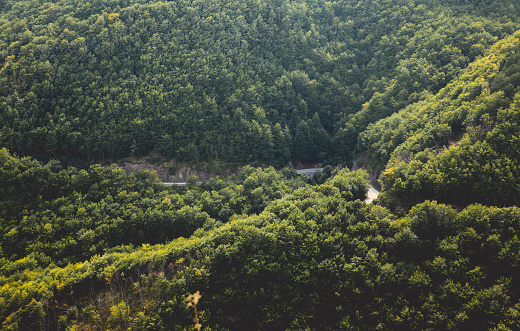 Canyon in the Dinaric mountains on the Western Balkan peninsula, Southeastern Europe. Taken in the bright summer. Mountain road can be seen through the forests.