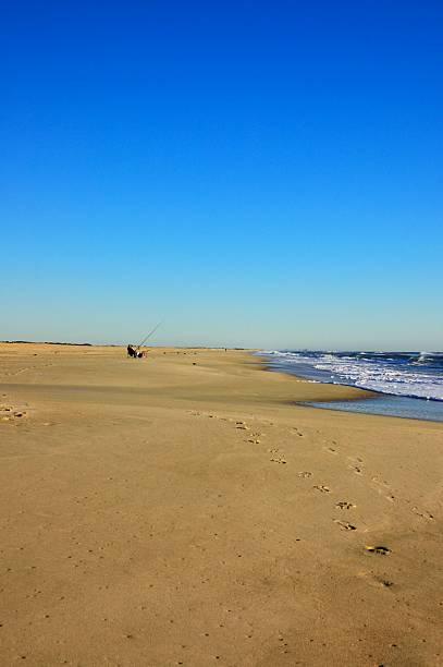 istock Surf Fishing On Assateague Island Vertical 495067496