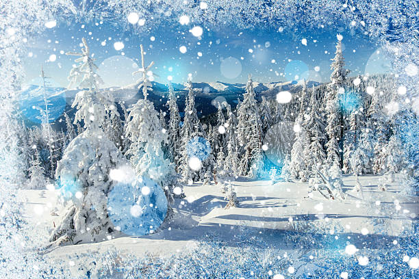 Magical Winter Snow Covered Tree Background With Some Soft High Stock Photo  - Download Image Now - iStock