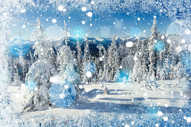 Magical Winter Snow Covered Tree Background With Some Soft High Stock Photo - Download Image Now - iStock Magical Winter Snow Covered Tree Background With Some Soft High Stock Photo - Download Image Now - iStock