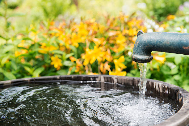 pompa dell'acqua in giardino - kleingarten foto e immagini stock