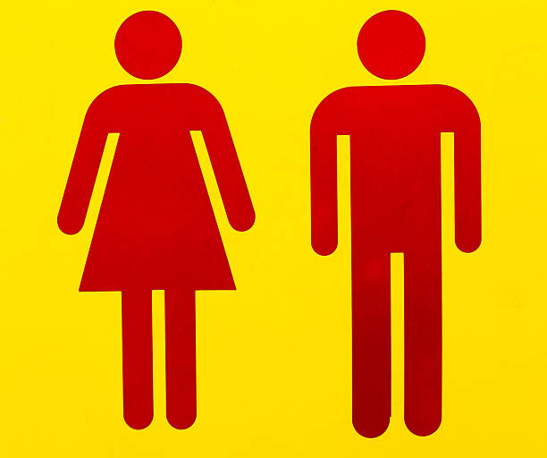 istock Toilet sign 495078618