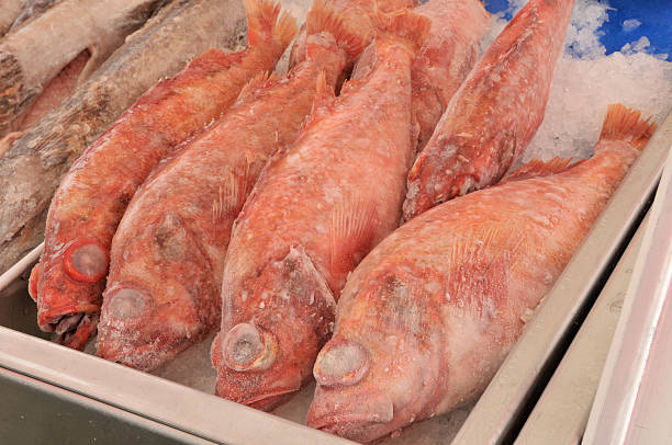 istock Boat Fish Market 495079822