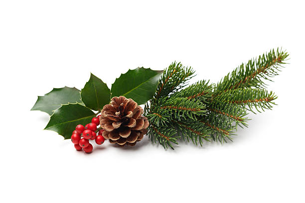 Christmas Decoration Christmas decoration of holly berry and pine cone holly stock pictures, royalty-free photos & images