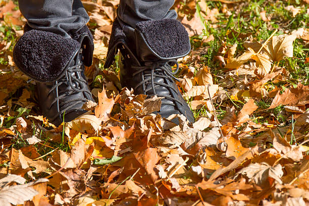 istock Walk in the autumn park. 495083274