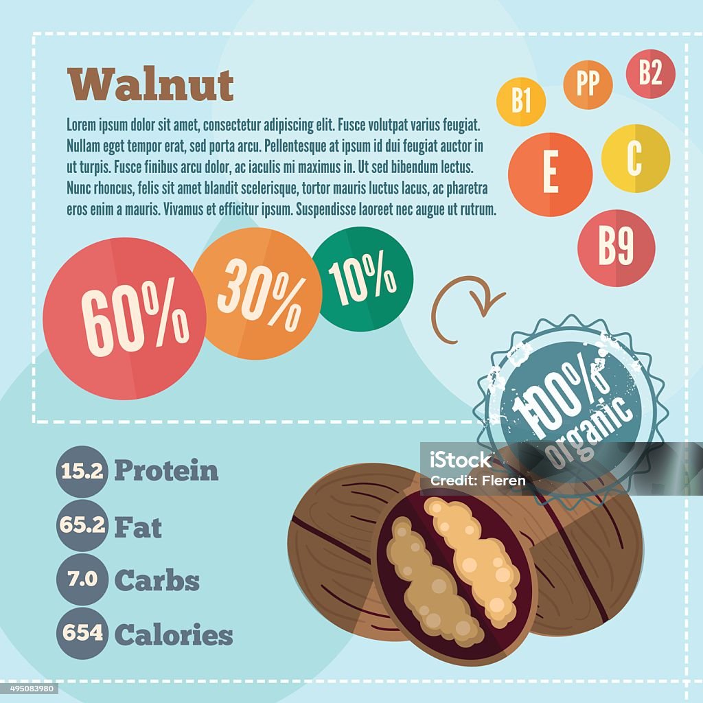 Walnut Infographics Stock Illustration - Download Image Now - 2015 ...