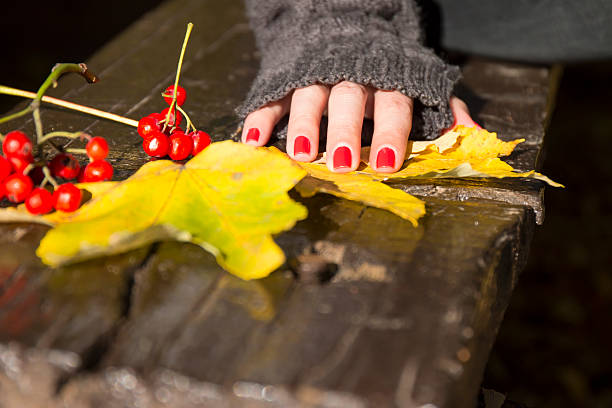 donna mano, rosso frutta e foglie di autunno giallo - passion women human hand macro foto e immagini stock