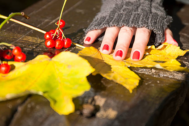 donna mano, rosso frutta e foglie di autunno giallo - passion women human hand macro foto e immagini stock