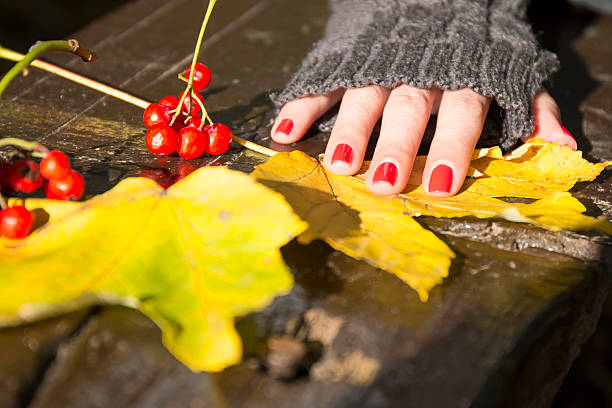 mão da mulher, vermelho e amarelo folhas de outono frutos - passion women human hand macro imagens e fotografias de stock