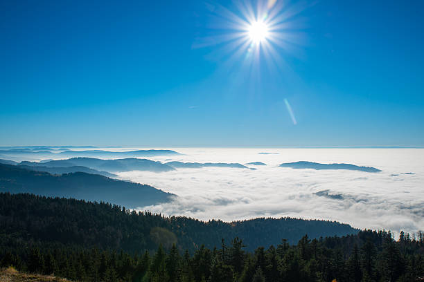 чёрный лес - black forest forest sky blue стоковые фото и изображения