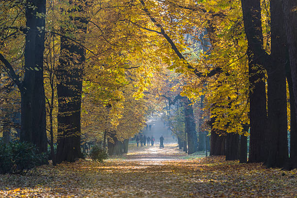 istock Royal Lazienki Park in autumn time 495096068