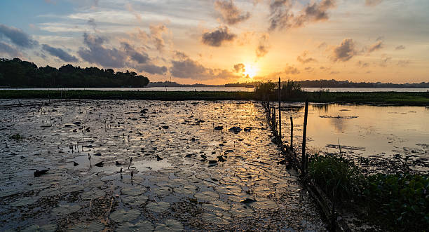 istock Sunset Over a Tropical Lake 495096180