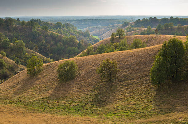 istock Hills covered with dry yellow grass at sunny autumn afternoon 495096294