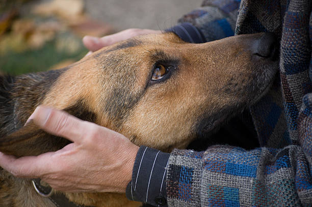 istock The real friend 495110684