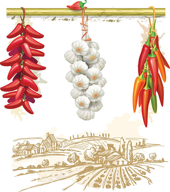 ilustraciones, imágenes clip art, dibujos animados e iconos de stock de cadenas de pimientos rojos contra paisaje campestre - garlic hanging string vegetable