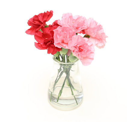 Pictured bouquet of carnation in a glass bottle.