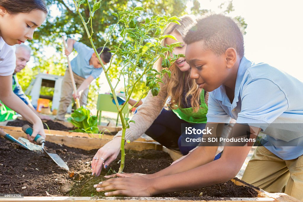 Teacher instrucing students while gardening during science class - Royalty-free Onderwijs Stockfoto