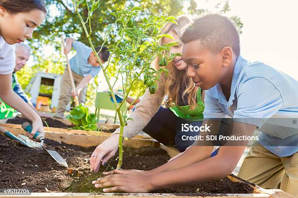 Teacher Instrucing Students While Gardening During Science Class Stockfoto en meer beelden van Onderwijs