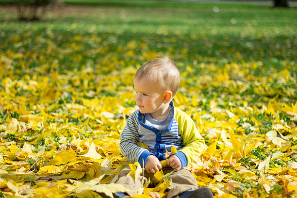 istock Baby boy in the autumn park 495112794