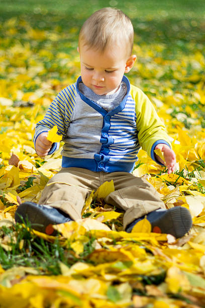 istock Baby boy in the autumn park 495113342