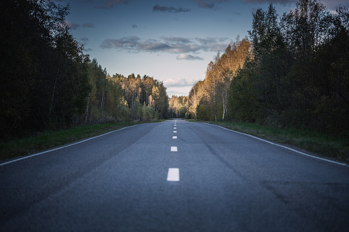 Asphalt road in the forest. Forward direction. Stock photo