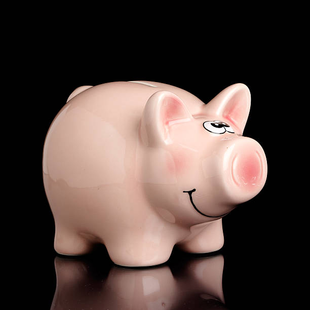 istock Piggy bank 495114194