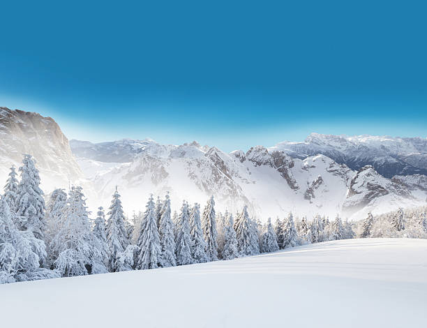 istock Winter snowy landscape 495114480