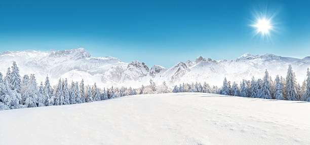 Winter snowy landscape Winter snowy forest with alpen panorama and blue sky winter stock pictures, royalty-free photos & images