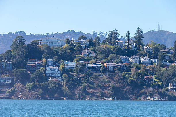 istock Tiburon Residential area 495114712