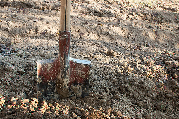 istock Shovel in the ground 495116886