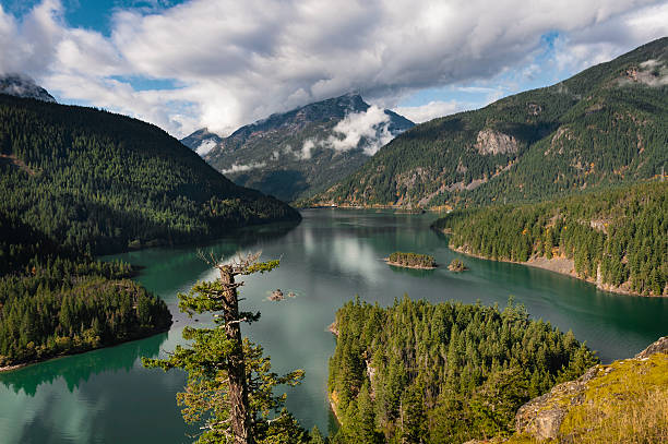 lago di ross, washington - north cascades national park northern cascade range reservoir mountain foto e immagini stock