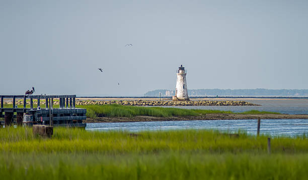 istock waterway scenes near Cockspur Island Lighthouse 495117830