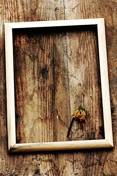 Still life and ancient art - A picture frame on an old wooden board with dried-flower