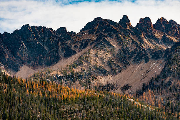 larch drzewa w góry kaskada - north cascades national park cascade range highway north zdjęcia i obrazy z banku zdjęć