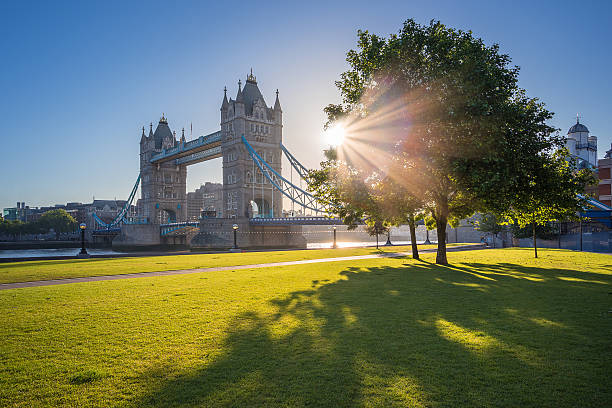 istock Sunrise at Tower Bridge with tree and green grass, London 495118912