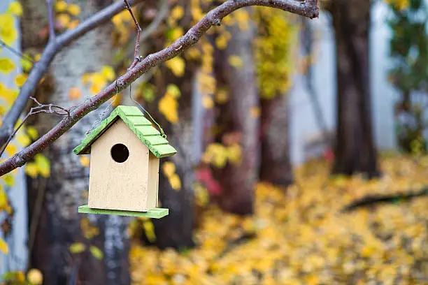 Photo of Stock Photo of Birdhouse With Colourful Autumn Leaves
