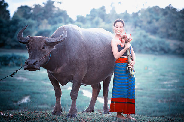 istock thai ancient young women with buffalo on rural 495122794