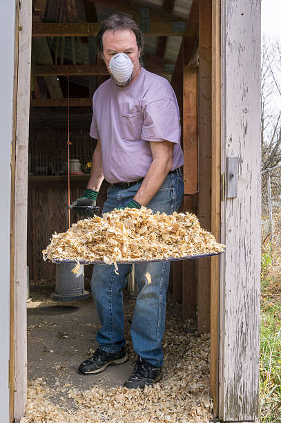 istock Chicken Farmer With A Shovel Of Soiled Shavings 495124540